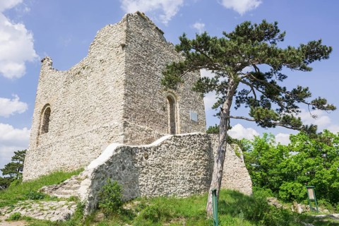 Burgruine Modling