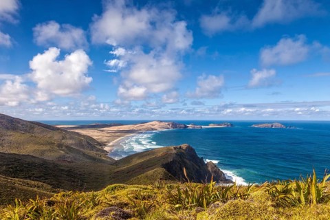 Cape Maria van Diemen
