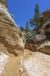 Hiking trail through Willis Creek Canyon