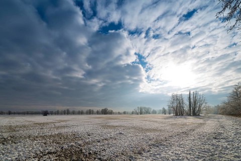 Winter landscape