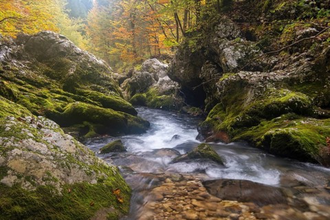 Mountain Mostnica stream flows through a narrow gorge