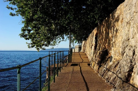 The boardwalk trail along the rocky coast