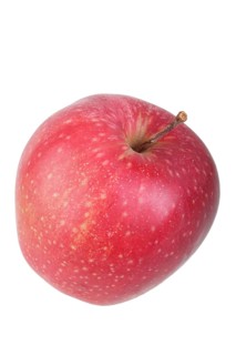Apple variety Red Jonaprince
