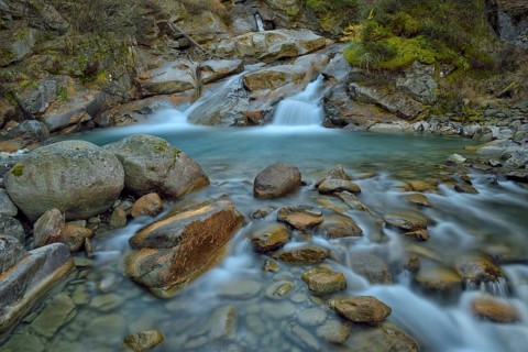 Mountain stream with fallen larch needles on the stones