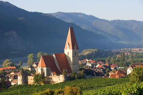 Vineyards and a fortified church on the Danube