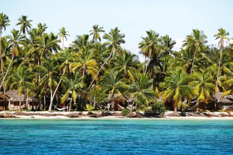 Palm beach