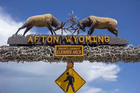The world's largest arch made of wapiti antlers