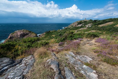 Coast