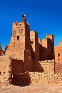 Stork nesting on the Glaoui Kasbah's