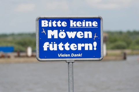 Sign 'Bitte keine Mowen futtern' or 'Please do not feed the seagulls