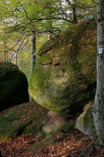 Rock park