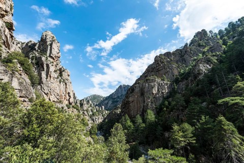 River bed and valley