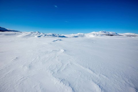 Wide lonely snow landscape