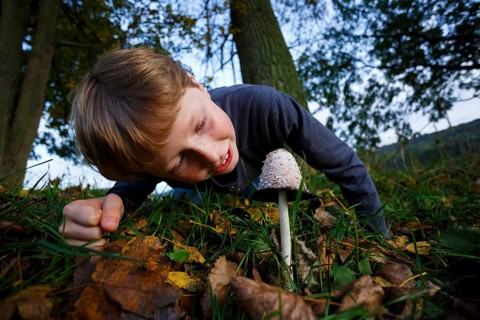 Boy looking at mushroom