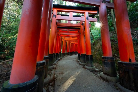 Fushimi Inari Taisha