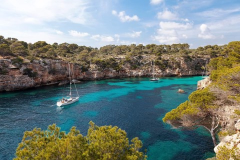 Sailing boat in the bay