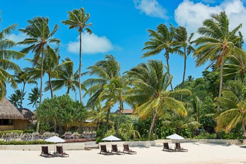 Beach with palm trees