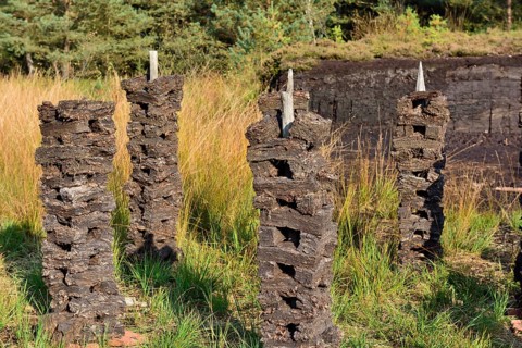 Stacks of peat sods left or drying in the traditional manner