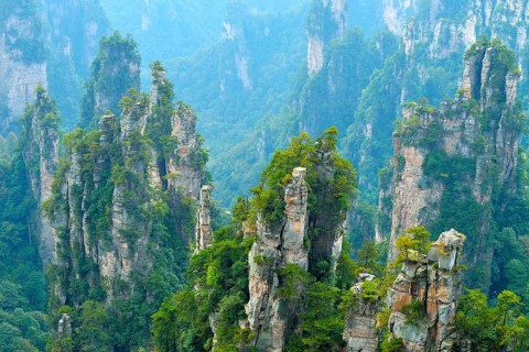 Tianzishan mountain with vertical rock columns of quartz sandstone