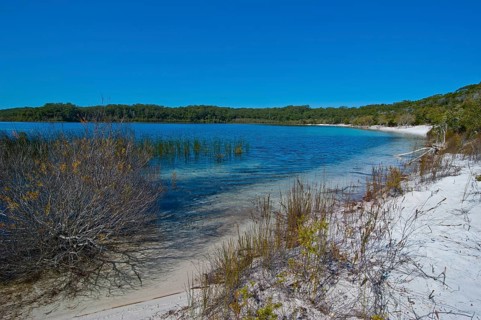 McKenzie Lake