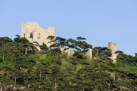 Burgruine Modling