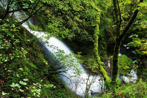 Shepperd's Dell Falls