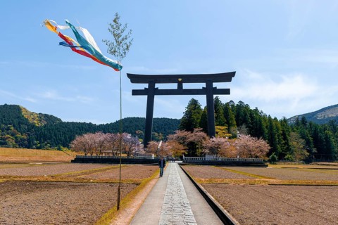 Largest Torii in the world