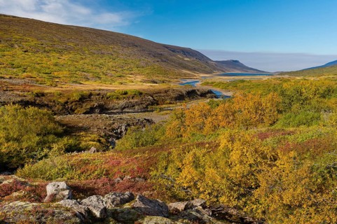 Autumnal foliage