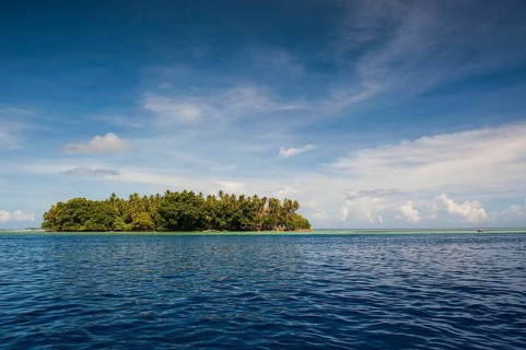 Islet in the Ant Atoll