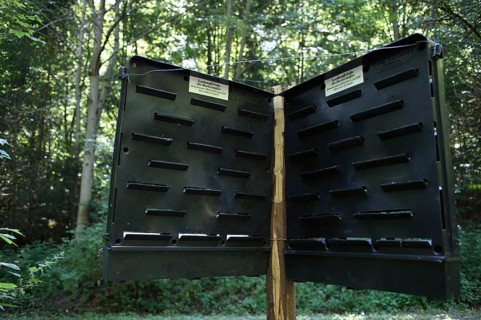 Attractant trap for bark beetle