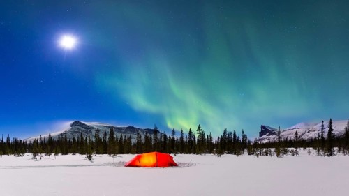 Northern Lights (Aurora borealis) above a red illuminated tent in winter