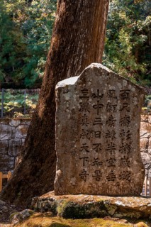 Old stone tablet with Japanese writing on the pilgrimage path Kumano Kodo