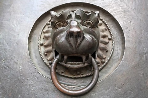 Door knocker with a lion's head