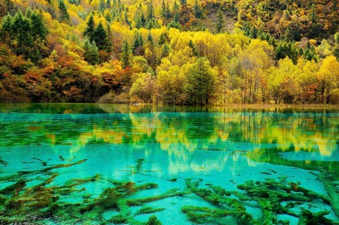 Five Flower Lake in autumnal environment
