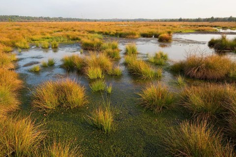 Moorlands