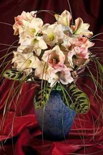 Bouquet of lilies in a vase in front of red fabric