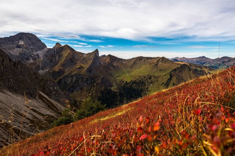 Autumn meadow with mountains of Vorarlberg