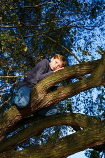 Boy sitting on tree