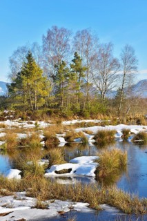 Moorlands in winter