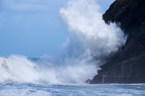 Surf