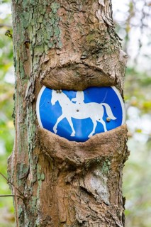 Sign bridleway grown in to tree