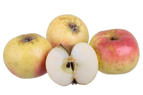 Apple variety Weilburger