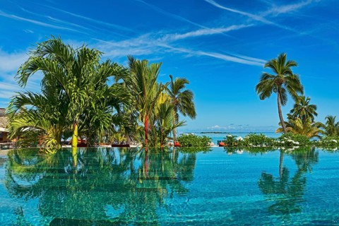 Lush vegetation by the water