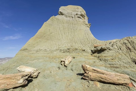 Petrified forest Bosque Petrificado National Monument