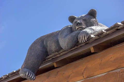 Bear figure at a shop