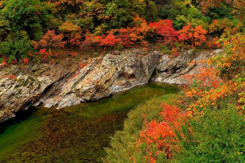 Black River in autumn landscape