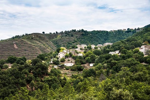 Small mountain village in the forest