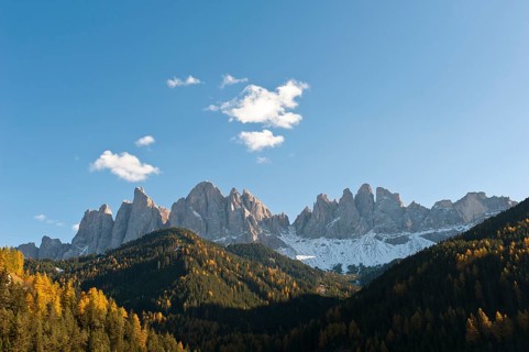 Mountain forest in autumn