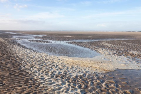 Low tide in the Lower Saxon Wadden Sea National Park