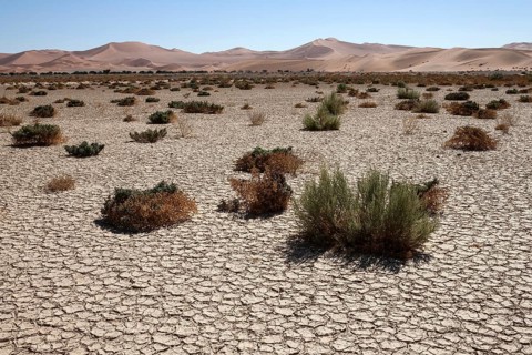 Sand dunes